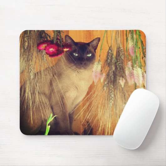 動物のポーズを取#3るシャム猫 マウスパッド (マウス)