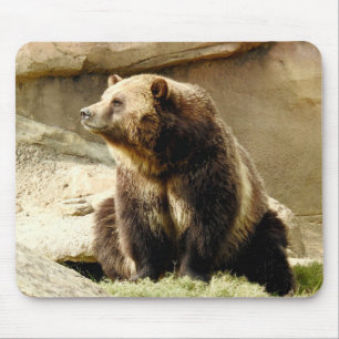 動物のマウスパッドシリーズ-灰色グマ マウスパッド