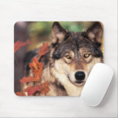 動物のマウスパッド36 マウスパッド (マウス)