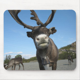 動物のマウスパッド63 マウスパッド