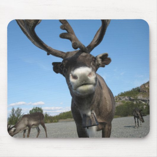 動物のマウスパッド63 マウスパッド (正面)