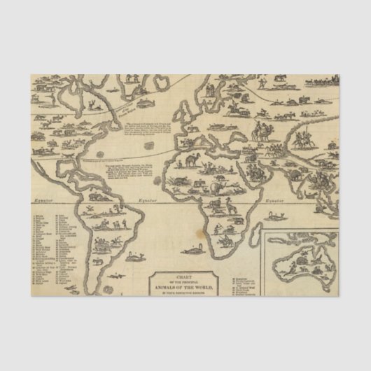 動物の世界 薄葉紙 (正面)