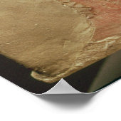 動物の入浴 ポスター (角)