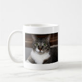 動物の写真を見るタビー猫 コーヒーマグカップ (左)