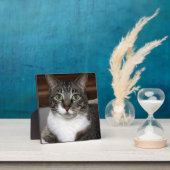 動物の写真を見るTabby Cat フォトプラーク (インサイチュ)