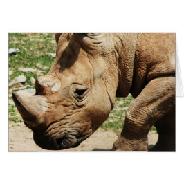 動物の写真ノートカード