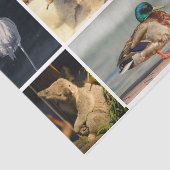 動物の写真フラミンゴ・ゴリラ・パロッツ・コアラ・ダック 薄葉紙 (詳細)