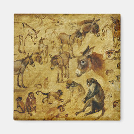 動物の勉強：ロバ、サル、猫と犬 マグネット