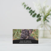 動物の名刺 名刺 (スタンド正面)