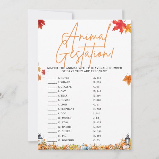 動物の妊娠赤ちゃんシャワーゲームリトルカボチャ 招待状 (正面)