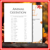 動物の妊娠赤ちゃんシャワーゲームリトルカボチャ 招待状