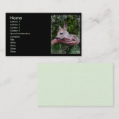 動物の愛のため 名刺 (正面/裏面)