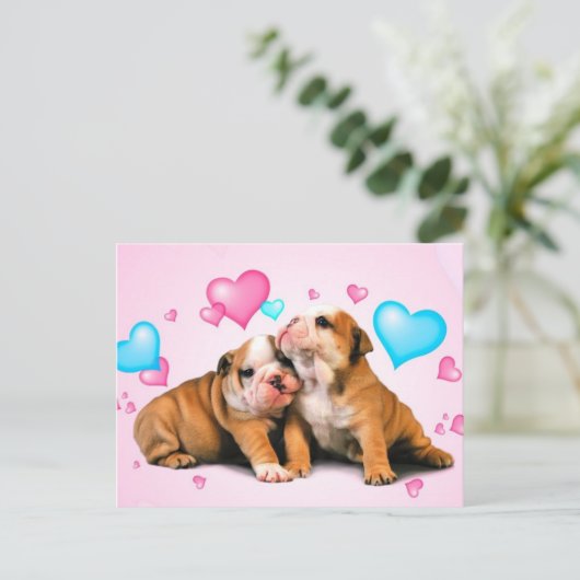 動物の愛 ポストカード (スタンド正面)