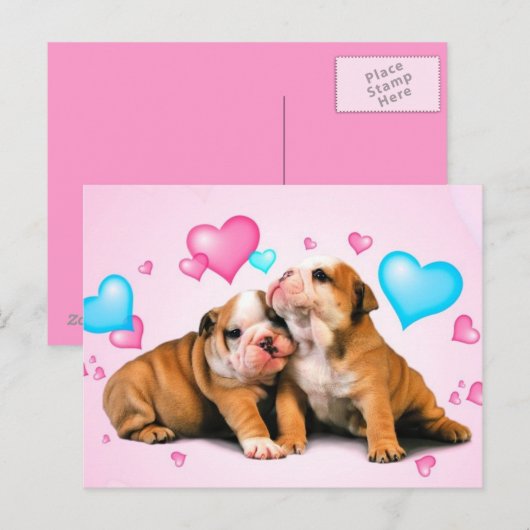 動物の愛 ポストカード (正面/裏面)