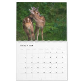 動物の抱擁 カレンダー (1月 2026)