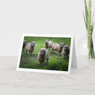 動物の挨拶カ空白のード。 カード