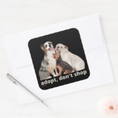 動物の救助犬救の買い物をしない スクエアシール (封筒)