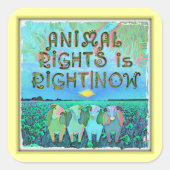 動物の権利が正しい|今はシール スクエアシール (正面)