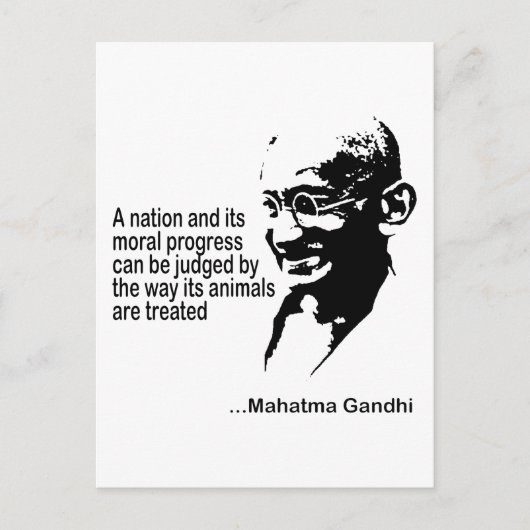 動物の権利 ポストカード (正面)