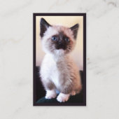 動物の気にプロフェッショナルのプレースホルダフォト 名刺 (正面)