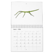 動物の漫画イラストレーション カレンダー (3月 2026)