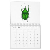 動物の漫画イラストレーション カレンダー (1月 2026)