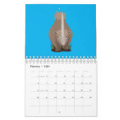 動物の漫画イラストレーション カレンダー (2月 2026)