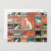 動物の特性：哺乳類 ポストカード (正面/裏面)