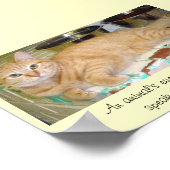 動物の目話は言語素晴らし ポスター (角)