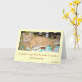 動物の目 カード (黄色い花)