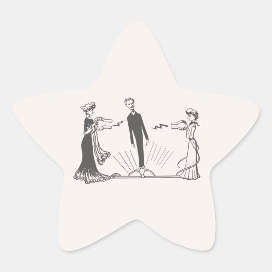 動物の磁力 –  星シール (正面)