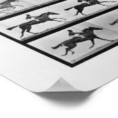 動物の移動 – 競走馬の16フレームAnnie G ポスター (角)