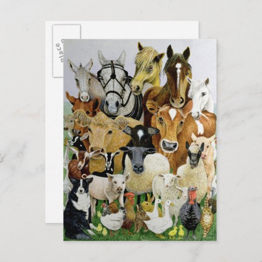 動物の種類 ポストカード (正面/裏面)