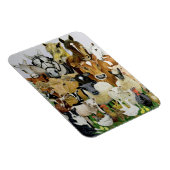 動物の種類 マグネット (右側)