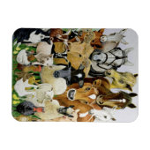 動物の種類 マグネット (横)