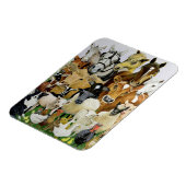 動物の種類 マグネット (左側)