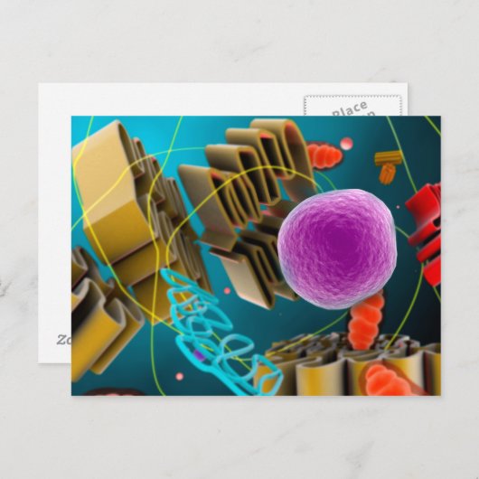 動物の細胞核の顕微鏡の概観 ポストカード (正面/裏面)