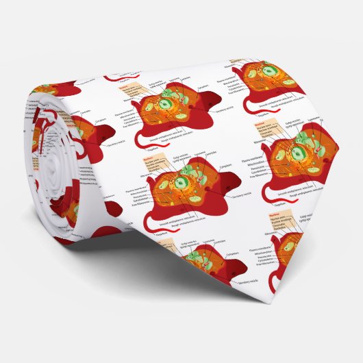 動物の細胞構造 ネクタイ (ロール)