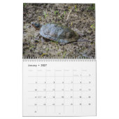 動物の組み合わせカレンダー カレンダー (1月 2027)