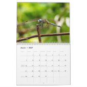 動物の組み合わせカレンダー カレンダー (3月 2027)