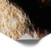 動物の肌の質性自然の動物,皮膚,パターン,アバスト ポスター (角)