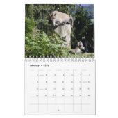 動物の育児 カレンダー (2月 2026)