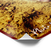 動物の豚 – カントリーライフ ポスター (コーナー)