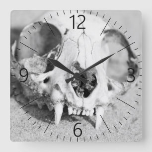 動物の頭蓋骨 スクエア壁時計