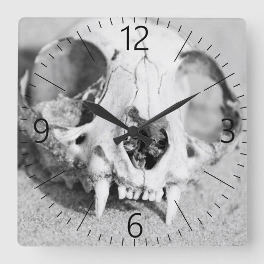 動物の頭蓋骨 スクエア壁時計 (正面)