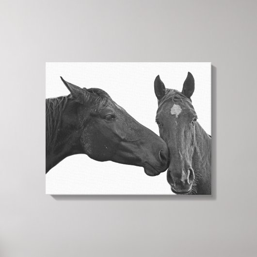 動物の馬の馬写真白黒 キャンバスプリント (正面)