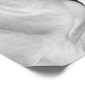 動物の馬の馬写真白黒 ポスター (角)