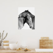 動物の馬の馬写真白黒 ポスター (キッチン)