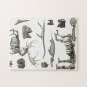 動物の骨構造の標本 ジグソーパズル (横)