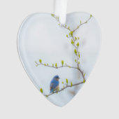 動物の鳥の東のブルーバード オーナメント (正面)